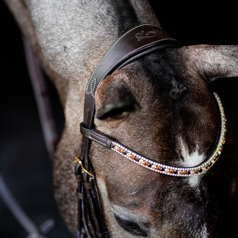 'Amber' Anatomic Leather Bridle (Euro Version) Clearance