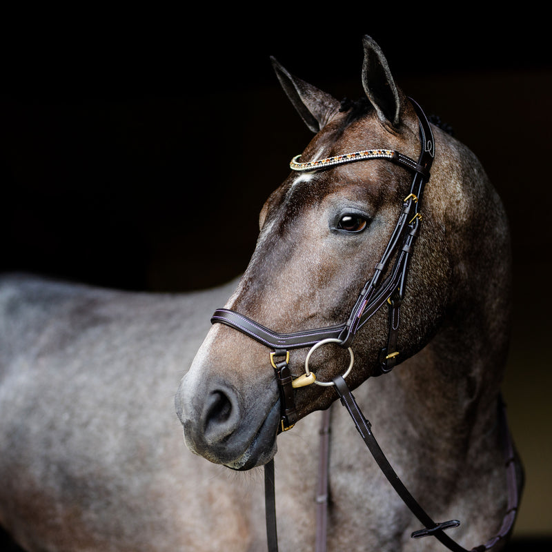 'Amber' Anatomic Leather Bridle (Euro Version) Clearance