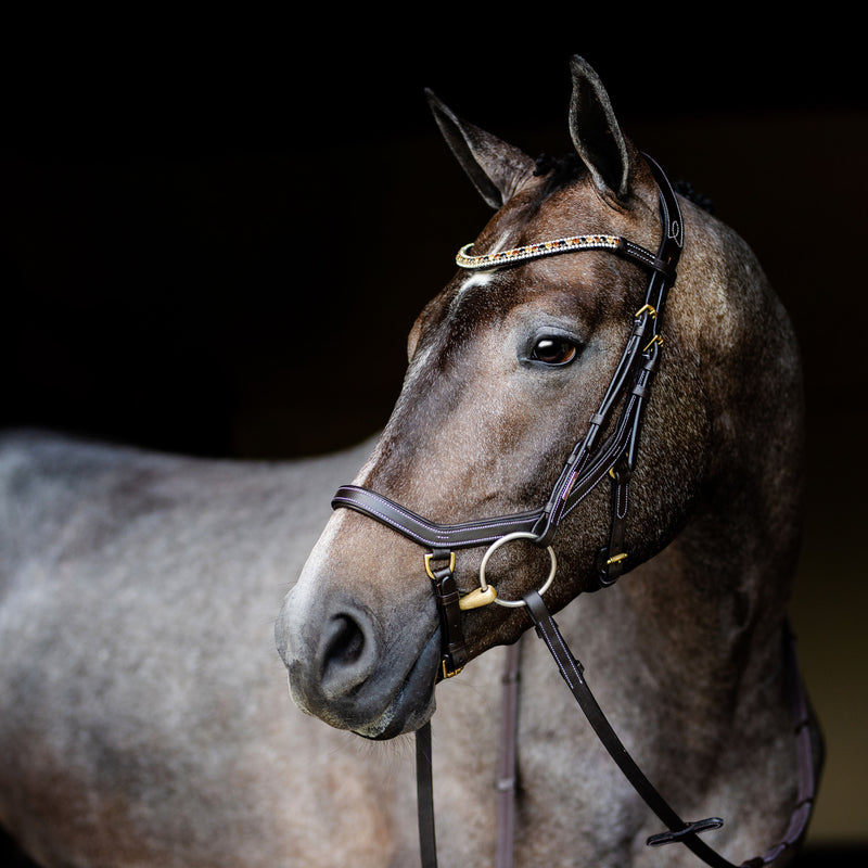 'Amber' Anatomic Leather Bridle (Euro Version)