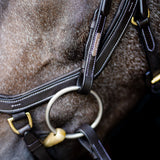 'Amber' Anatomic Leather Bridle (Euro Version) Clearance