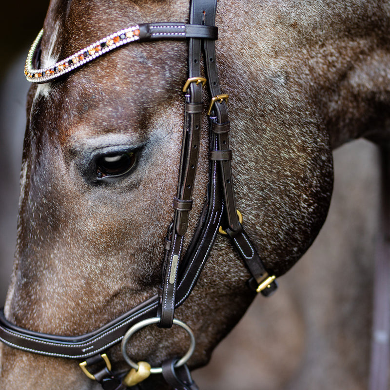 'Amber' Anatomic Leather Bridle (Euro Version) Clearance