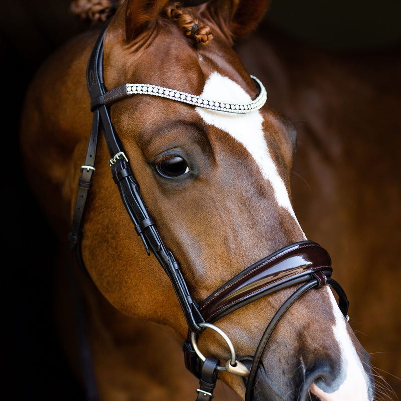 Amie\' Rolled Leather Bridle (Hanoverian) – Lumiere Equestrian
