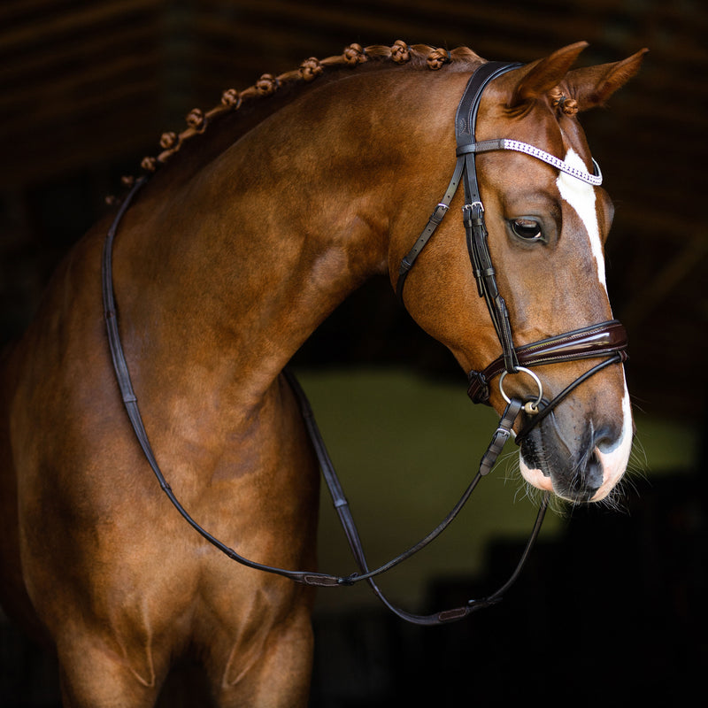 Amie' Rolled Leather Bridle (Hanoverian) – Lumiere Equestrian