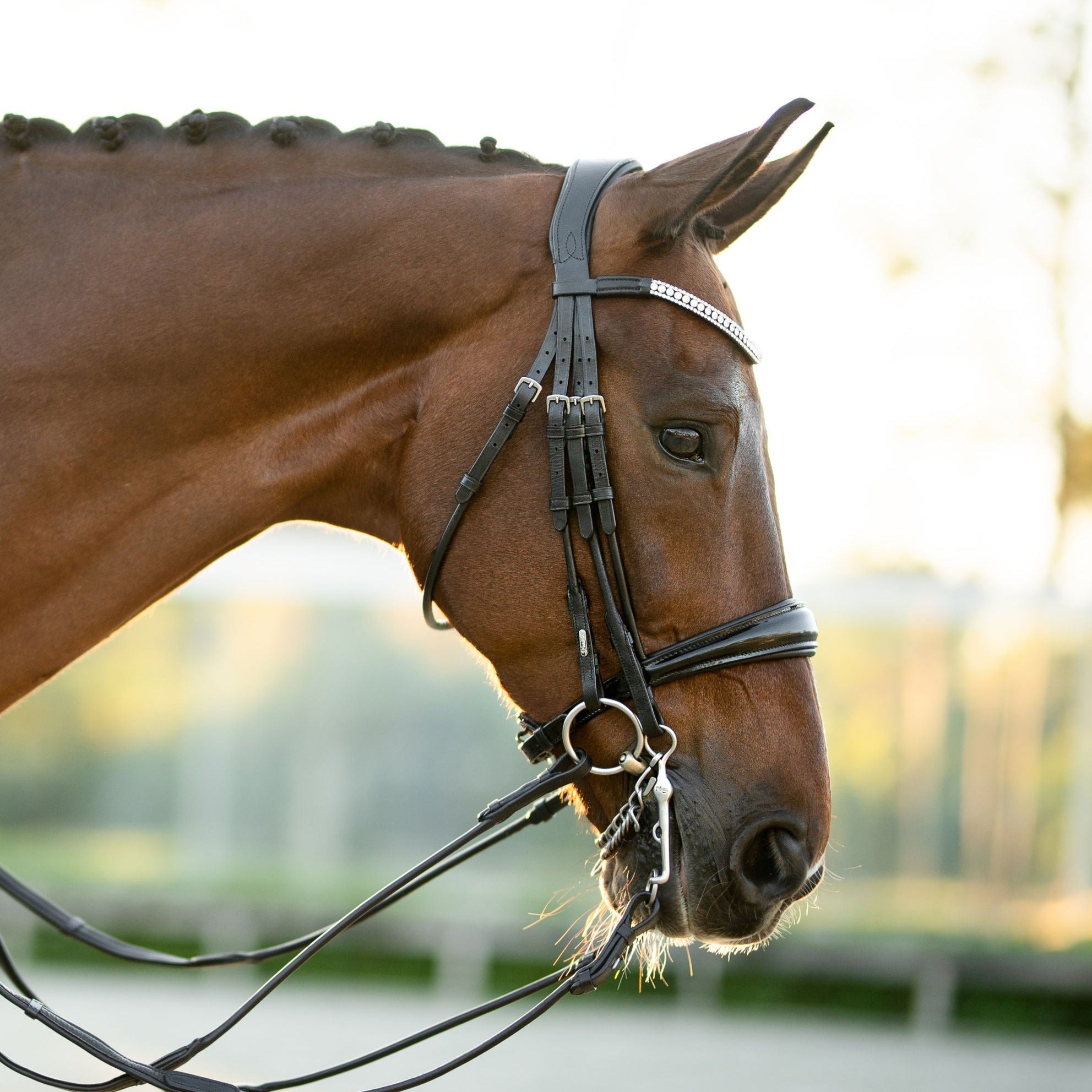 'Amie' luxury leather bridle - (double) - Lumiere Equestrian