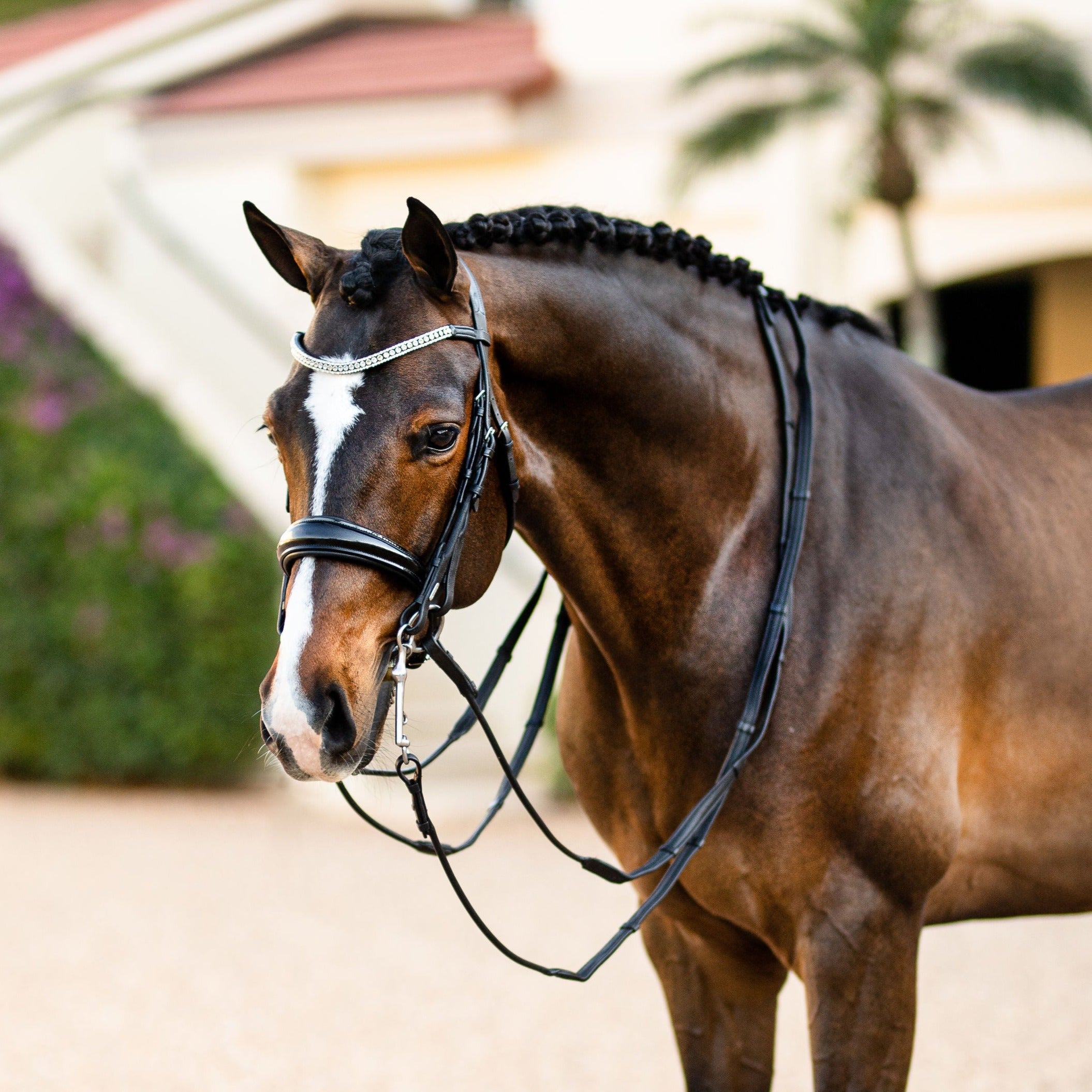 'Amie' luxury leather bridle - (double) - Lumiere Equestrian