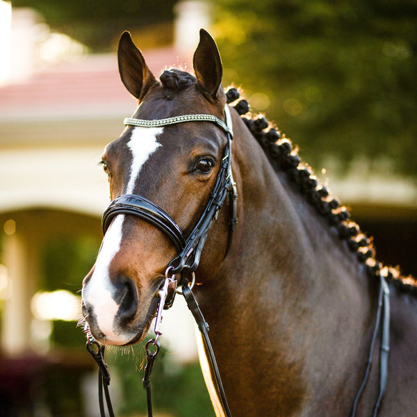 'Amie' luxury leather bridle - (double)