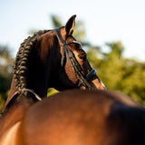 'Amie' luxury leather bridle - (double)