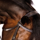 'Classic' hunter bridle