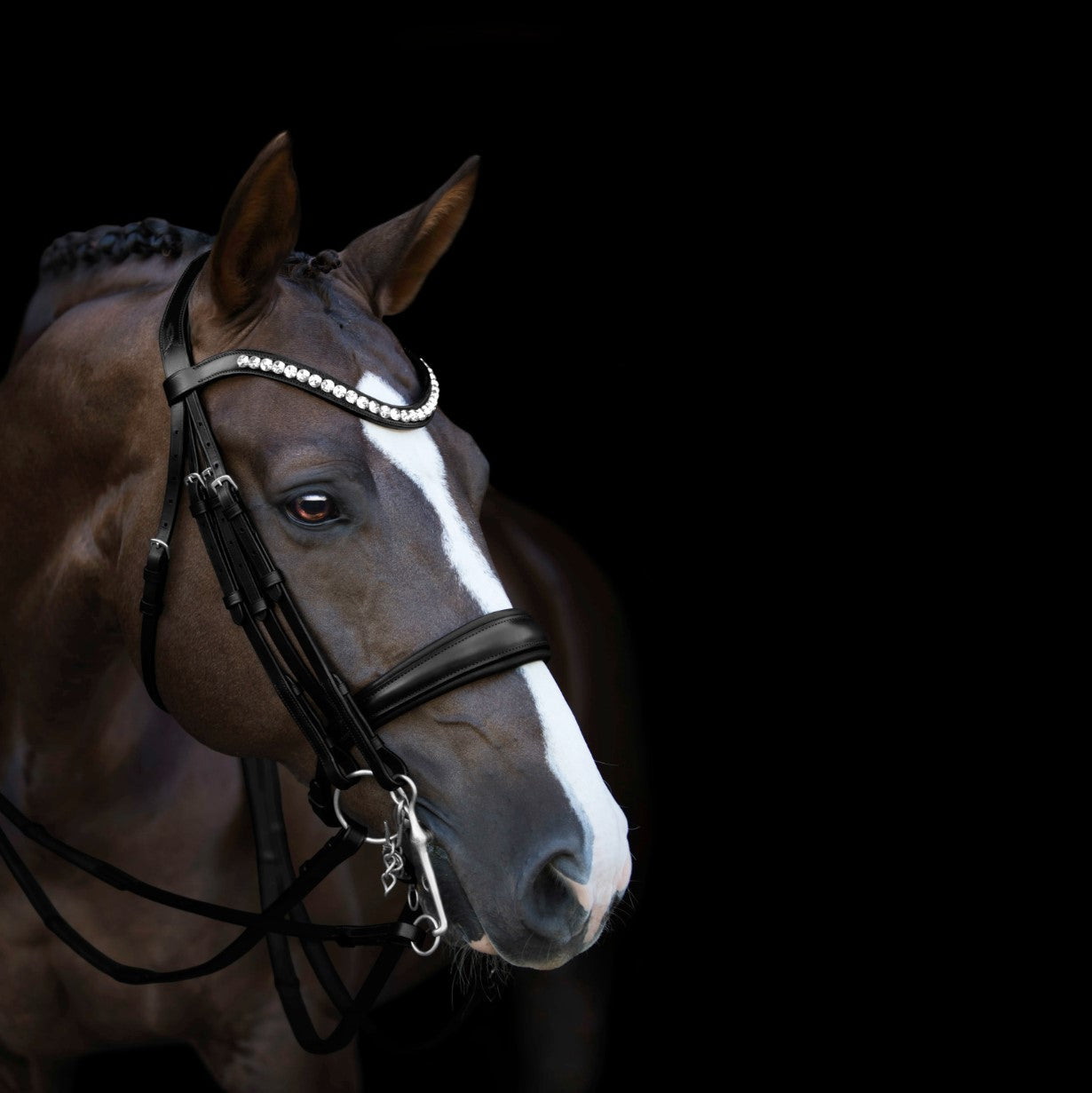 'Athens' luxury leather bridle - (double) - Lumiere Equestrian