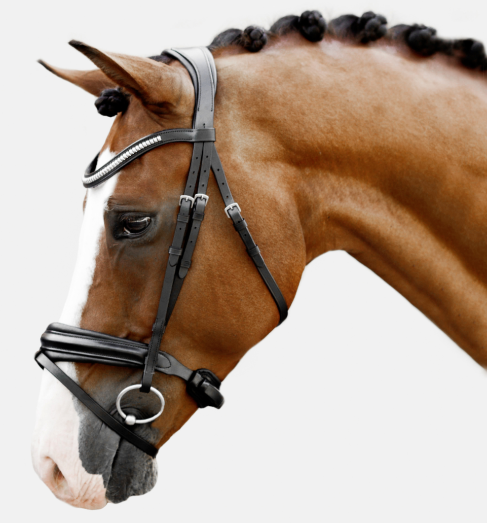 'Melodie' classic bridle - Lumiere Equestrian