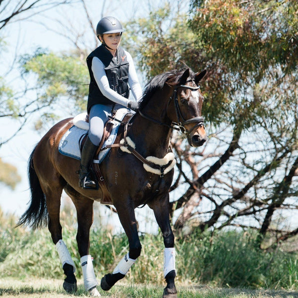 'Venus' Italian leather breastplate - black & brown - Lumiere Equestrian