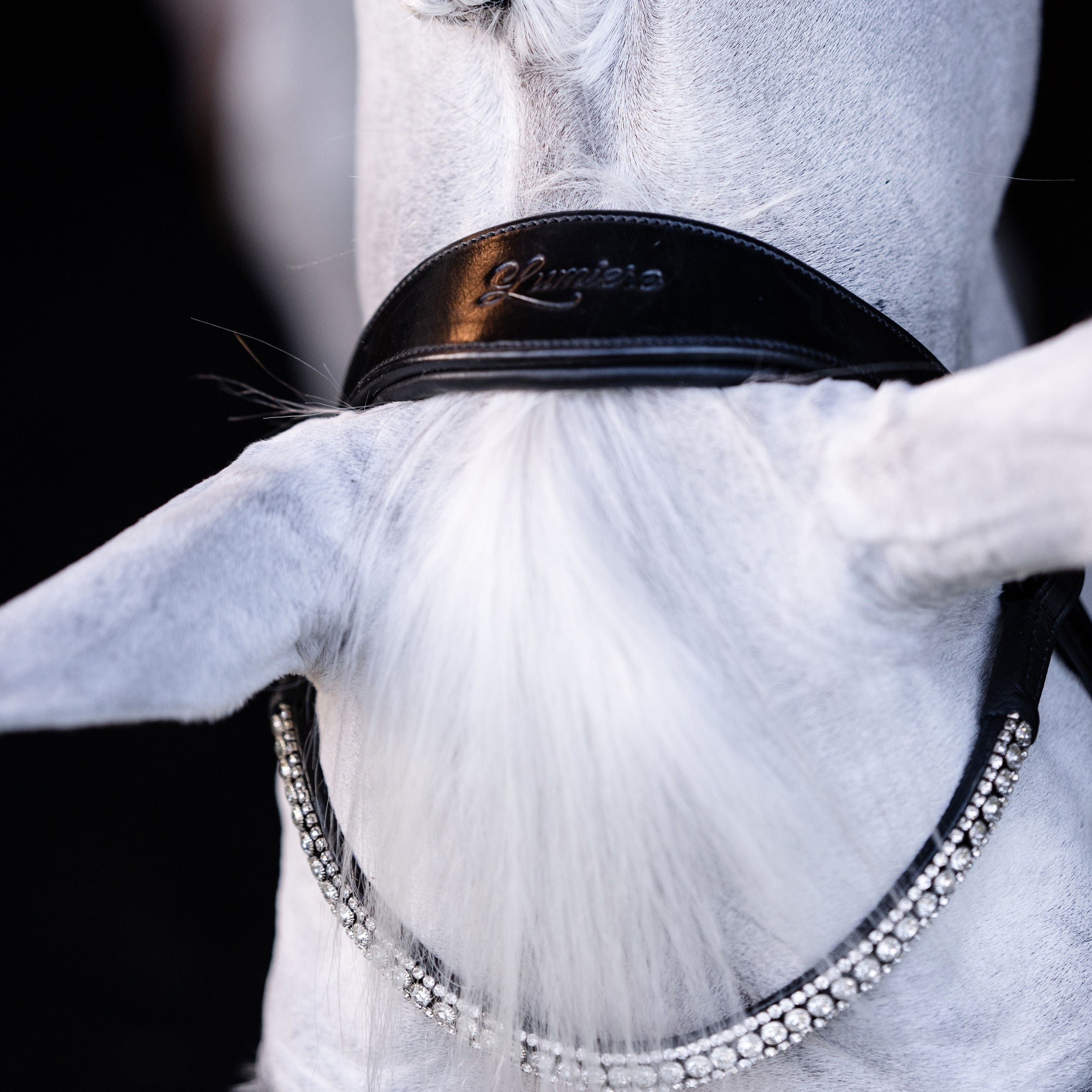 'Amie' Rolled Leather Bridle (Hanoverian) - Lumiere Equestrian