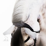 'Melodie' classic bridle