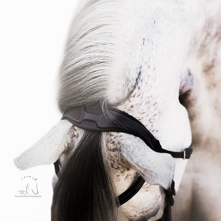 'Melodie' classic bridle