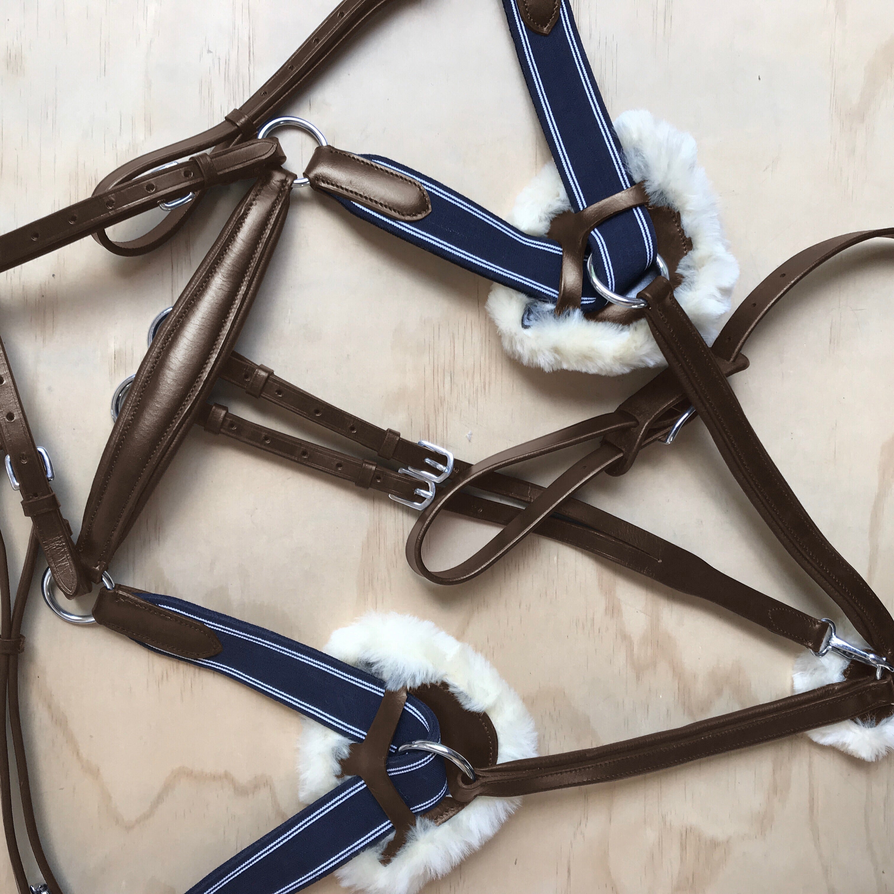Breastplate cuir Rhinegold 5 points noir taille cheval complet équestre