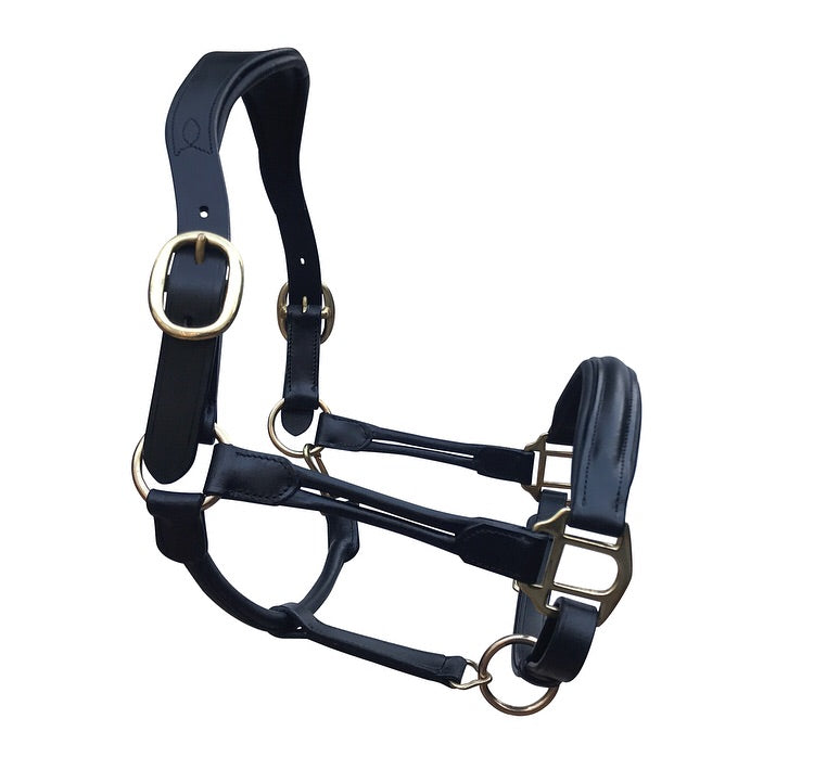 'Allegra' leather halter - Lumiere Equestrian