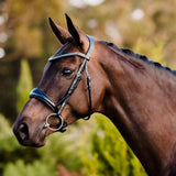 'Aurelie' bridle (cavesson) - Lumiere Equestrian