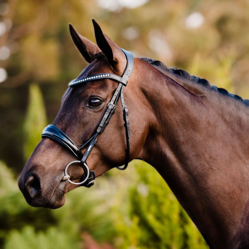 'Aurelie' bridle (cavesson) - Lumiere Equestrian