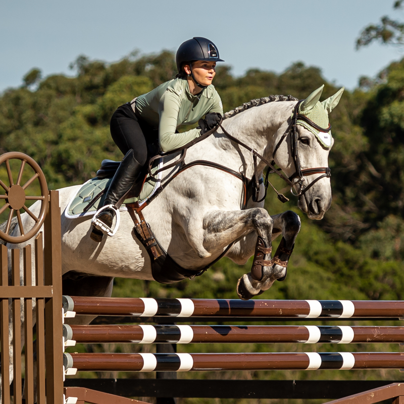 'Anka' breastplate - black & brown - Lumiere Equestrian